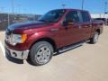 2010 Royal Red Metallic Ford F150 XLT SuperCrew  photo #9