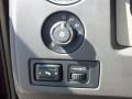 2010 Royal Red Metallic Ford F150 XLT SuperCrew  photo #13