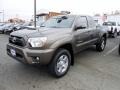 Pyrite Mica - Tacoma V6 TRD Sport Access Cab 4x4 Photo No. 4