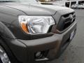 Pyrite Mica - Tacoma V6 TRD Sport Access Cab 4x4 Photo No. 6