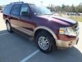 2013 Autumn Red Ford Expedition XLT  photo #1