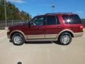 2013 Autumn Red Ford Expedition XLT  photo #9