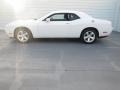 2011 Bright White Dodge Challenger SE  photo #5