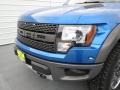 2010 Blue Flame Metallic Ford F150 SVT Raptor SuperCab 4x4  photo #9