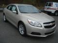 Champagne Silver Metallic - Malibu LT Photo No. 2