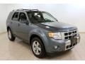 2010 Steel Blue Metallic Ford Escape Limited V6 4WD  photo #1