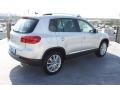White Gold Metallic - Tiguan SE Photo No. 8