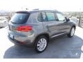 Pepper Gray Metallic - Tiguan SE Photo No. 8