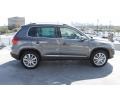 Pepper Gray Metallic - Tiguan SE Photo No. 9