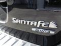 2009 Ebony Black Hyundai Santa Fe GLS 4WD  photo #9
