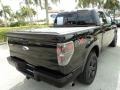 Black - F150 FX4 SuperCrew 4x4 Photo No. 6