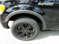 Black - F150 FX4 SuperCrew 4x4 Photo No. 13