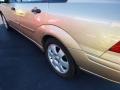 2002 Fort Knox Gold Ford Focus ZTS Sedan  photo #4