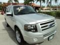 Ingot Silver Metallic 2010 Ford Expedition Limited