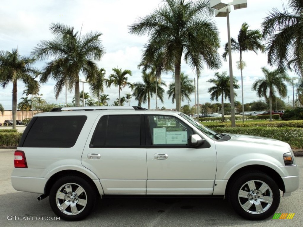 2010 Expedition Limited - Ingot Silver Metallic / Charcoal Black photo #5