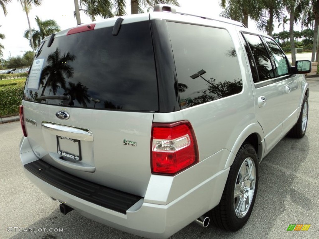 2010 Expedition Limited - Ingot Silver Metallic / Charcoal Black photo #6