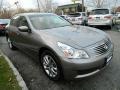 Platinum Graphite - G 37 x Sedan Photo No. 8