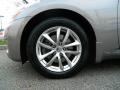 Platinum Graphite - G 37 x Sedan Photo No. 10