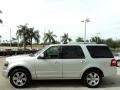 2010 Ingot Silver Metallic Ford Expedition Limited  photo #13