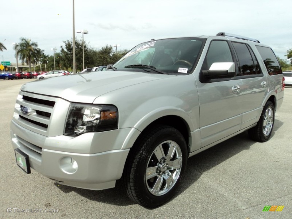2010 Expedition Limited - Ingot Silver Metallic / Charcoal Black photo #14
