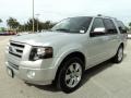 2010 Ingot Silver Metallic Ford Expedition Limited  photo #14