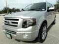 2010 Ingot Silver Metallic Ford Expedition Limited  photo #15