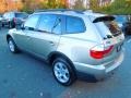 Platinum Bronze Metallic - X3 3.0si Photo No. 5