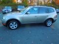 Platinum Bronze Metallic - X3 3.0si Photo No. 6