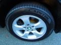 Platinum Bronze Metallic - X3 3.0si Photo No. 26