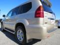 Savannah Beige Metallic - GX 470 Photo No. 5