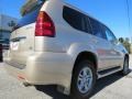 Savannah Beige Metallic - GX 470 Photo No. 7