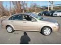 2006 Champagne Beige Metallic Suzuki Forenza Sedan  photo #5