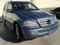 2005 Platinum Blue Metallic Mercedes-Benz ML 350 4Matic #73484520