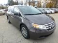 Smokey Topaz Metallic 2013 Honda Odyssey EX Exterior