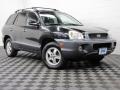Black Obsidian 2004 Hyundai Santa Fe LX 4WD