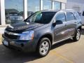 2009 Cyber Gray Metallic Chevrolet Equinox LT AWD  photo #8
