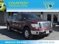 2010 Royal Red Metallic Ford F150 XLT SuperCrew  photo #1