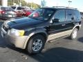 2002 Black Clearcoat Ford Escape XLT V6  photo #7