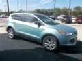 2013 Frosted Glass Metallic Ford Escape SE 1.6L EcoBoost  photo #13
