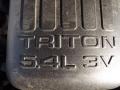 White Platinum Tri-Coat Metallic - Expedition Eddie Bauer Photo No. 28