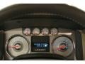Tan Gauges Photo for 2010 Ford F150 #73532646