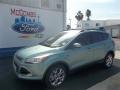 2013 Frosted Glass Metallic Ford Escape SEL 2.0L EcoBoost  photo #1