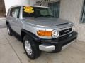 Titanium Metallic - FJ Cruiser 4WD Photo No. 7
