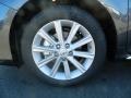 Magnetic Gray Metallic - Camry XLE Photo No. 10