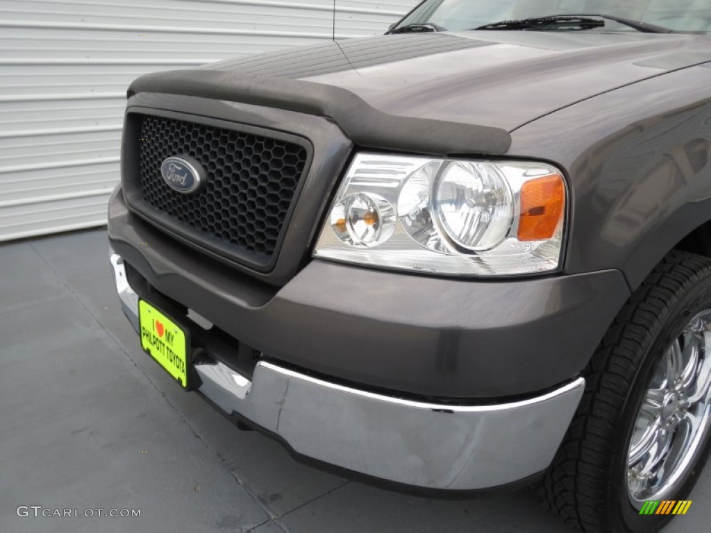 2005 F150 XLT SuperCrew - Dark Shadow Grey Metallic / Medium Flint Grey photo #9