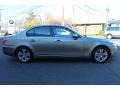 2010 Platinum Bronze Metallic BMW 5 Series 528i xDrive Sedan  photo #4