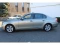 Platinum Bronze Metallic - 5 Series 528i xDrive Sedan Photo No. 8