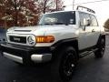 Iceberg White - FJ Cruiser 4WD Photo No. 10