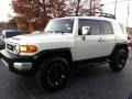Iceberg White - FJ Cruiser 4WD Photo No. 11