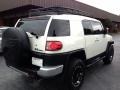 Iceberg White - FJ Cruiser 4WD Photo No. 16